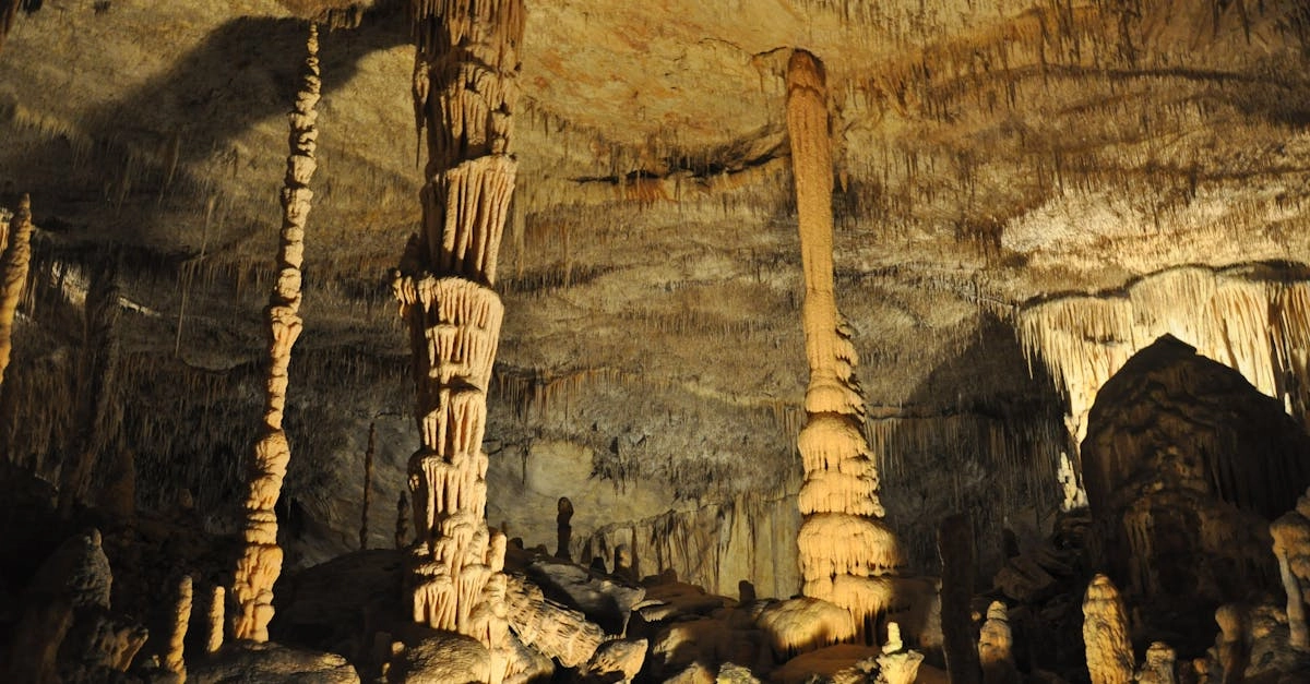 Геологические принципы формирования бонусных систем без первоначальных вложений